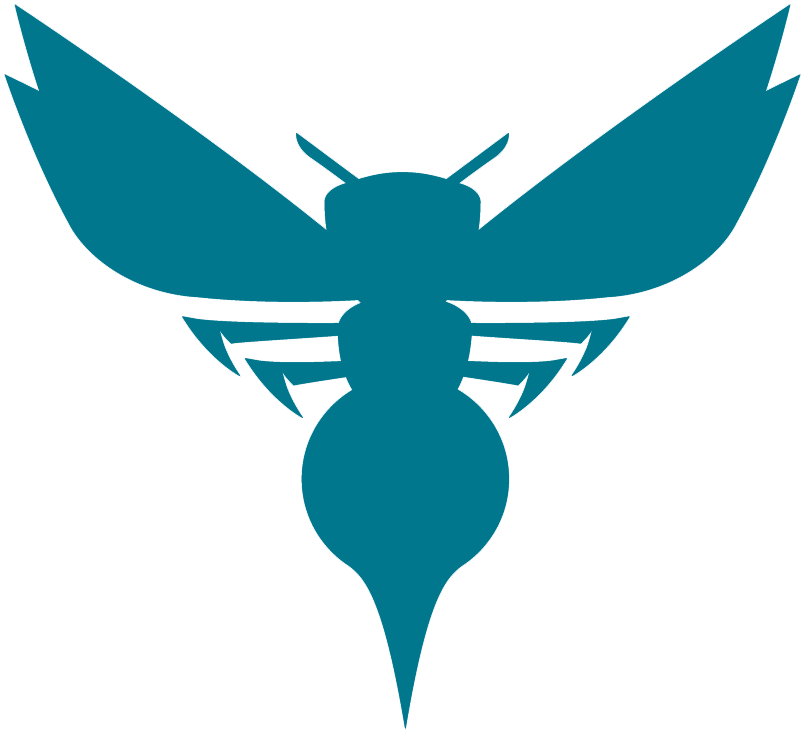 Charlotte Hornets 2014-Pres Alternate Logo iron on heat transfer v3